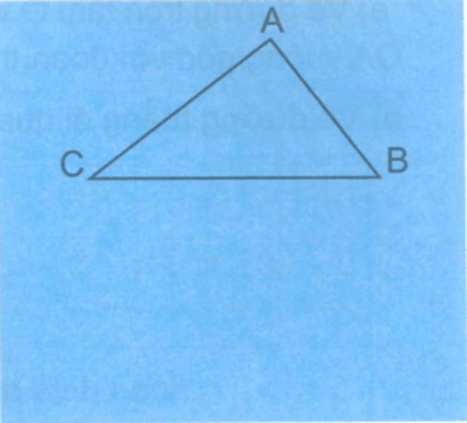 Bài 30: Thực hành vẽ hai đường thẳng song song Vở bài tập lớp 4 (Kết nối tri thức) (ảnh 2)
