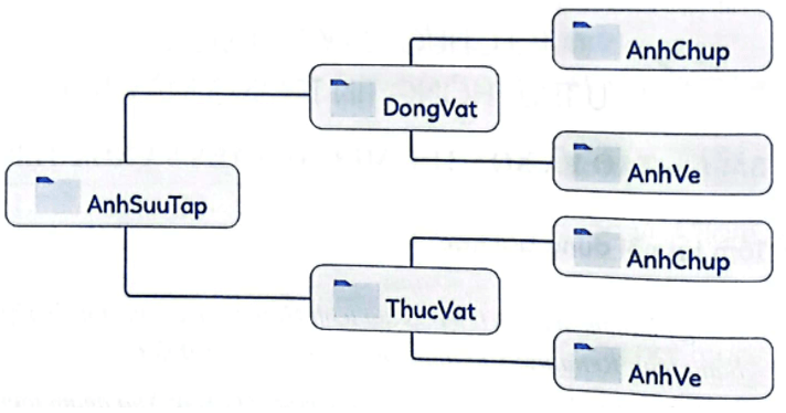 Vở bài tập Tin học lớp 4 Bài 1 (Cánh diều): Tạo và xóa thư mục, đổi tên và xóa tệp (ảnh 1)