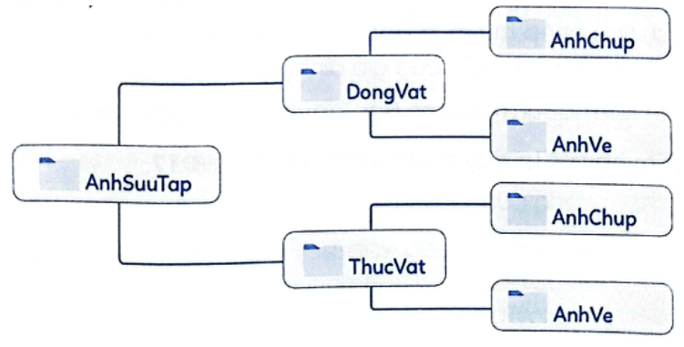 Vở bài tập Tin học lớp 4 Bài 2 (Cánh diều): Di chuyển, sao chép thư mục và tệp (ảnh 1)