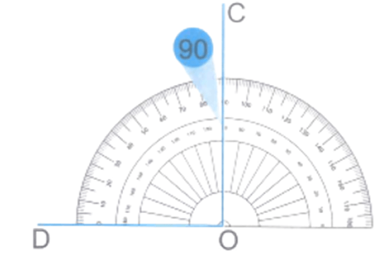 Bài 7: Đo góc, đơn vị đo góc Vở bài tập lớp 4 (Kết nối tri thức) (ảnh 2)