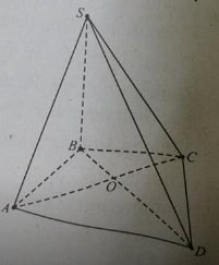 Hai đường thẳng chéo nhau và hai đường thẳng song song (Lý thuyết + 35 bài tập có lời giải) (ảnh 10)