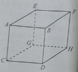 Hai đường thẳng chéo nhau và hai đường thẳng song song (Lý thuyết + 35 bài tập có lời giải) (ảnh 6)