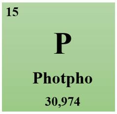 Photpho (Lý thuyết + 35 bài tập có lời giải) (ảnh 1)