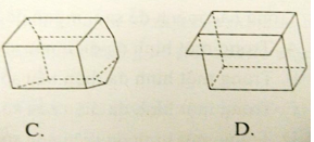 Khái niệm về khối đa diện (Lý thuyết + 50 bài tập có lời giải) (ảnh 10)