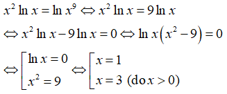 Phương trình mũ và phương trình lôgarit (Lý thuyết + 50 bài tập có lời giải) (ảnh 41)