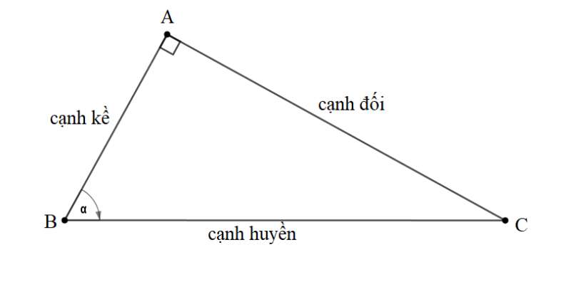 Phương pháp giải Các bài toán về Tỉ số lượng giác của góc nhọn (50 bài tập minh họa) (ảnh 1)