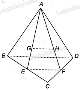 SBT Toán 11 (Kết nối tri thức) Bài 12: Đường thẳng và mặt phẳng song song (ảnh 2)