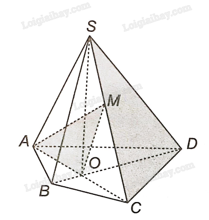 SBT Toán 11 (Kết nối tri thức) Bài 10: Đường thẳng và mặt phẳng trong không gian (ảnh 1)