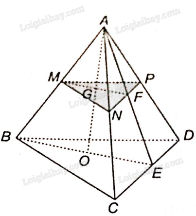 SBT Toán 11 (Kết nối tri thức) Bài 10: Đường thẳng và mặt phẳng trong không gian (ảnh 9)