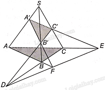 SBT Toán 11 (Kết nối tri thức) Bài 10: Đường thẳng và mặt phẳng trong không gian (ảnh 10)