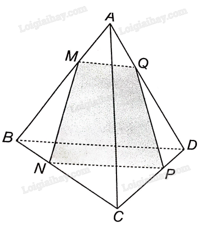 SBT Toán 11 (Kết nối tri thức) Bài 11: Hai đường thẳng song song (ảnh 1)