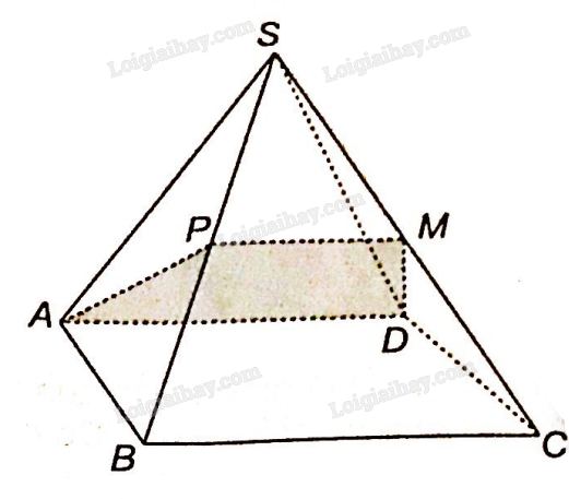 SBT Toán 11 (Kết nối tri thức) Bài 11: Hai đường thẳng song song (ảnh 4)