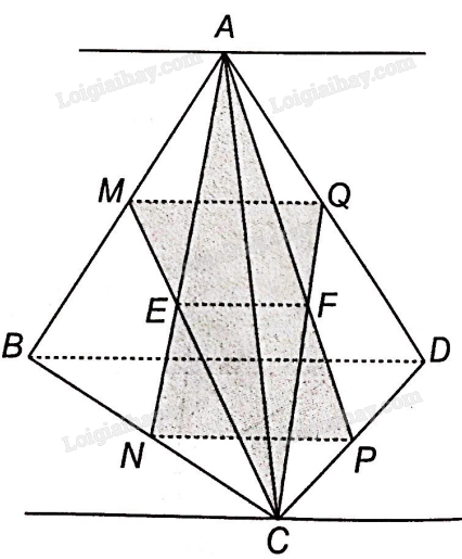 SBT Toán 11 (Kết nối tri thức) Bài 11: Hai đường thẳng song song (ảnh 6)