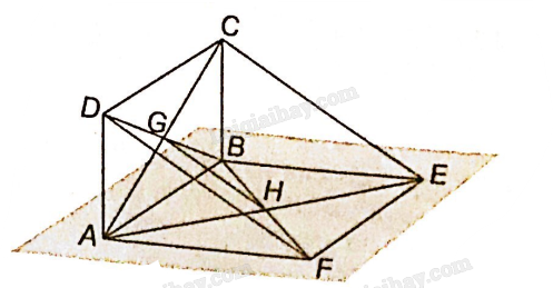 SBT Toán 11 (Kết nối tri thức) Bài 11: Hai đường thẳng song song (ảnh 9)