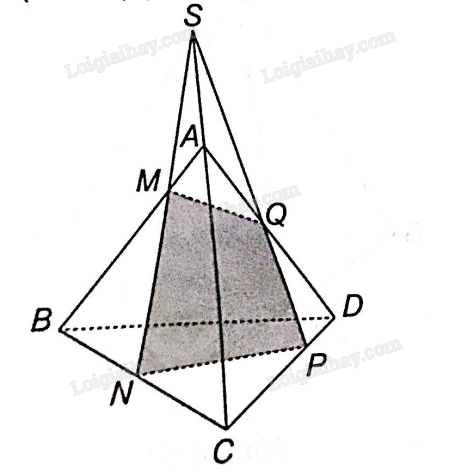 SBT Toán 11 (Kết nối tri thức) Bài 11: Hai đường thẳng song song (ảnh 11)