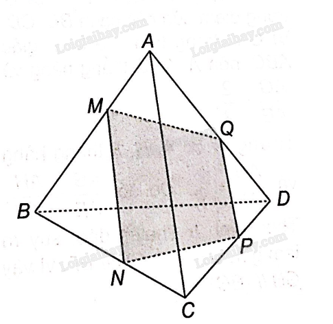 SBT Toán 11 (Kết nối tri thức) Bài 11: Hai đường thẳng song song (ảnh 12)