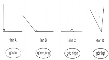 Bài tập cuối tuần Toán lớp 4 (Kết nối tri thức) Tuần 8 có đáp án (ảnh 1)