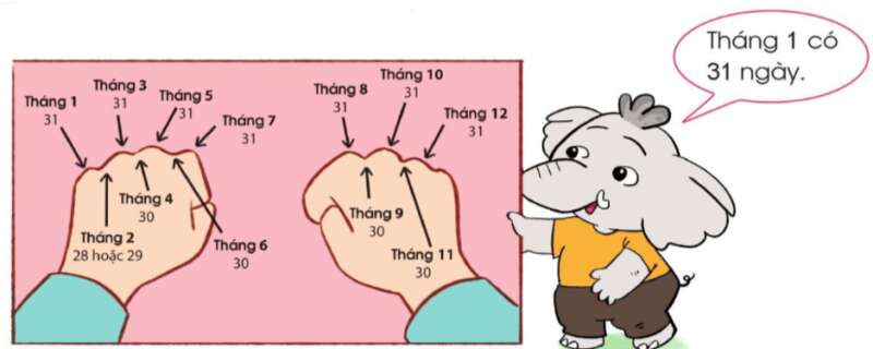 Thực hành: Xác định số ngày trong mỗi tháng. (ảnh 1)