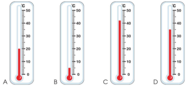 Đọc nhiệt độ trên mỗi nhiệt kế sau (ảnh 1)