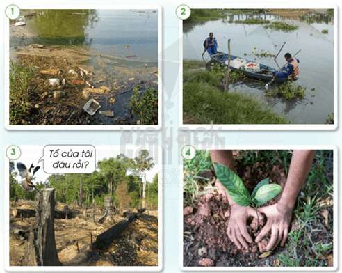 Bài 12: Bảo vệ môi trường sống của thực vật và động vật Tự nhiên và Xã hội lớp 2 (Cánh diều) (ảnh 2)