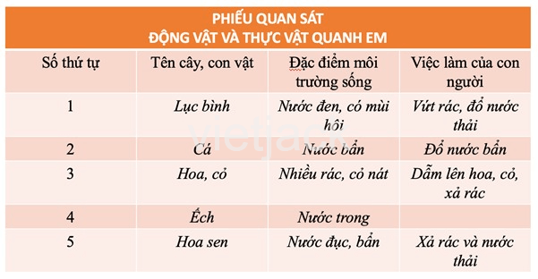 Bài 19: Thực vật và động vật quanh em Tự nhiên và Xã hội lớp 2 (Kết nối tri thức) (ảnh 2)