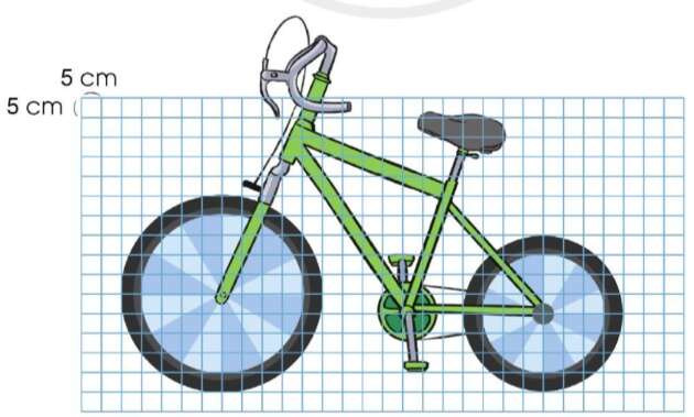 Theo em, đường kính của mỗi bánh xe trong hình dưới đây là bao nhiêu xăng-ti-mét? (ảnh 1)