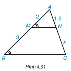 Toán 8 (Kết nối tri thức): Bài tập cuối chương 4 trang 89 (ảnh 1)