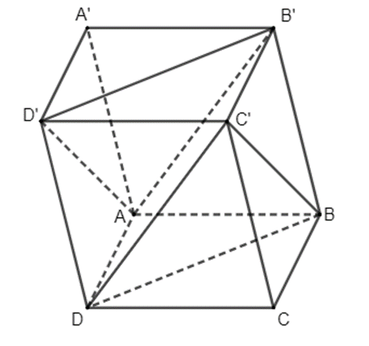 Toán 11 (Kết nối tri thức): Bài tập cuối chương 4 (ảnh 2)