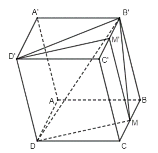 Toán 11 (Kết nối tri thức): Bài tập cuối chương 4 (ảnh 5)