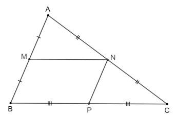 Toán 8 Bài 16 (Kết nối tri thức): Đường trung bình của tam giác (ảnh 8)
