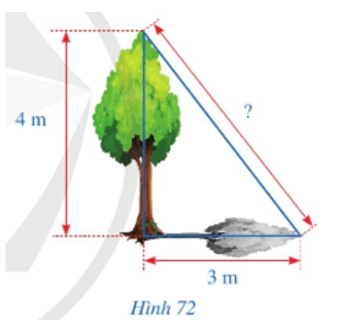 Toán 8 (Cánh diều): Bài tập cuối chương 5 (ảnh 4)