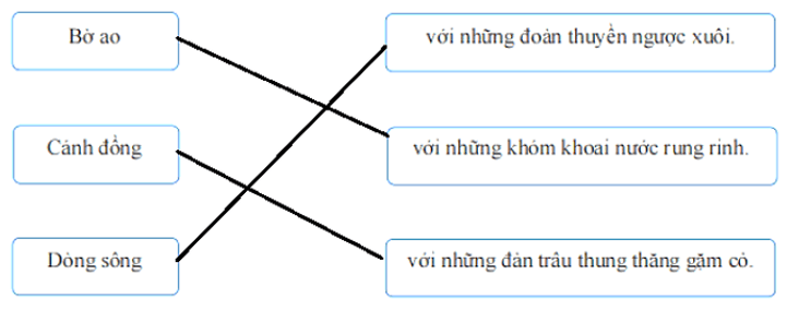 Bài tập cuối tuần Tiếng Việt lớp 1 (Chân trời sáng tạo) Tuần 27 có đáp án (ảnh 5)