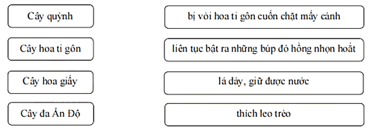 Bài tập cuối tuần Tiếng Việt lớp 1 (Chân trời sáng tạo) Tuần 29 có đáp án (ảnh 1)
