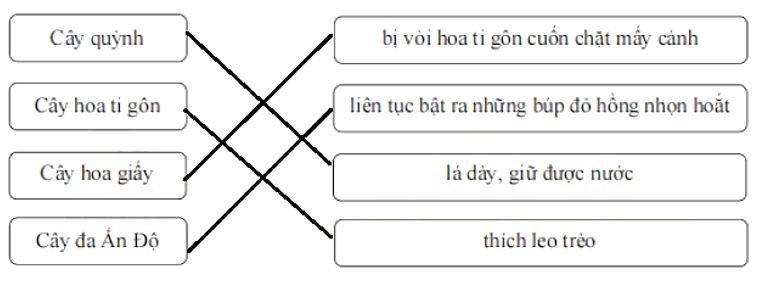 Bài tập cuối tuần Tiếng Việt lớp 1 (Chân trời sáng tạo) Tuần 29 có đáp án (ảnh 5)