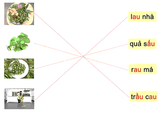 Bài tập cuối tuần Tiếng Việt lớp 1 (Chân trời sáng tạo) Tuần 7 có đáp án (ảnh 4)