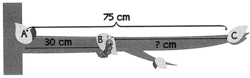 Bài tập cuối tuần Toán lớp 1 (Kết nối tri thức) Tuần 29 có đáp án (ảnh 5)