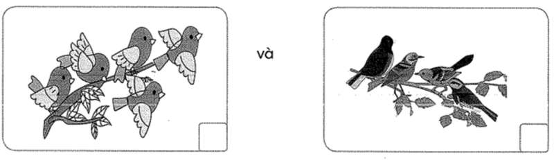 Bài tập cuối tuần Toán lớp 1 (Kết nối tri thức) Tuần 3 có đáp án  (ảnh 9)