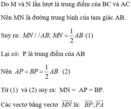 40 câu trắc nghiệm Khái niệm vectơ (Cánh diều) có đáp án - Toán 10 (ảnh 15)