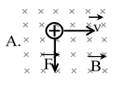 Lực Lo-ren-xơ (Lý thuyết + 35 bài tập có lời giải) (ảnh 39)
