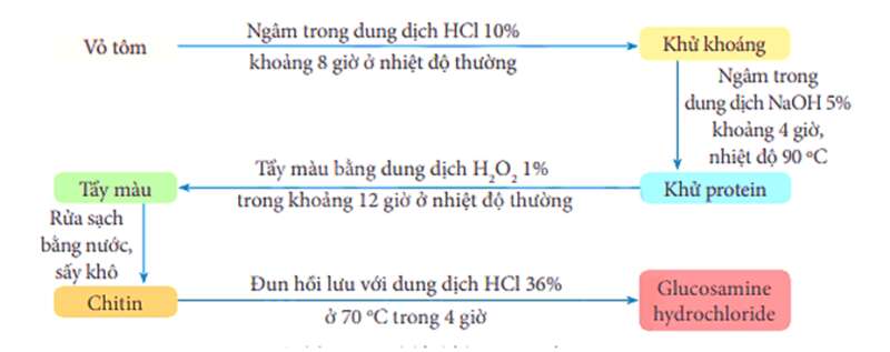 Chuyên đề Hóa học 11 (Chân trời sáng tạo) Bài 6: Điều chế glucosamine hydrochloride từ vỏ tôm (ảnh 5)