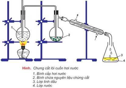 Chuyên đề Hóa học 11 (Cánh diều) Bài 4: Tách tinh dầu từ các nguồn thảo mộc tự nhiên (ảnh 6)