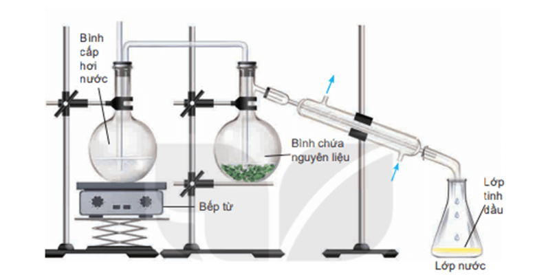 Chuyên đề Hóa học 11 (Kết nối tri thức) Bài 4: Tách tinh dầu từ các nguồn thảo mộc tự nhiên (ảnh 1)