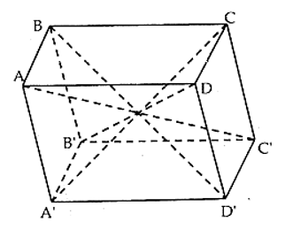 SBT Toán 11 (Cánh diều) Bài 5: Hình lăng trụ và hình hộp  (ảnh 2)