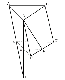 SBT Toán 11 (Cánh diều) Bài 5: Hình lăng trụ và hình hộp  (ảnh 3)