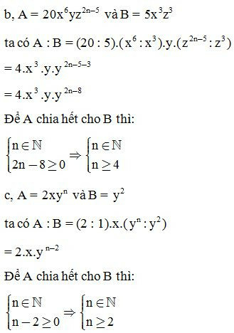 Phương pháp giải Cách chia đơn thức cho đơn thức, chia đa thức cho đơn thức (50 bài tập minh họa) (ảnh 4)