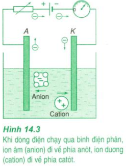 Phương pháp giải Các dạng bài tập dòng điện trong chất điện phân (50 bài tập minh họa) (ảnh 1)