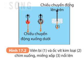 KHTN 8 Bài 17 (Kết nối tri thức): Lực đẩy Archimedes (ảnh 2)