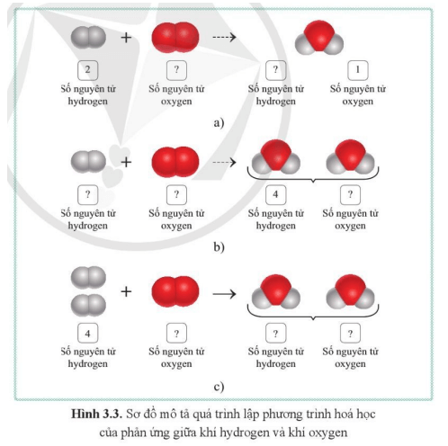 KHTN 8 (Cánh Diều) Bài 3: Định luật bảo toàn khối lượng. Phương trình hóa học | Khoa học tự nhiên 8 (ảnh 3)