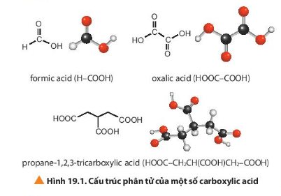 Hoá học 11 (Chân trời sáng tạo) Bài 19: Carboxylic acid (ảnh 2)
