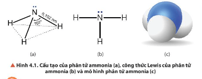 Hoá học 11 (Chân trời sáng tạo) Bài 4: Ammonia và một số hợp chất ammonium (ảnh 3)